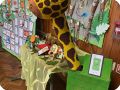 thumbnail IMG 4808